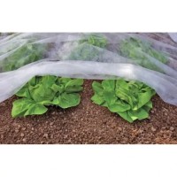 Агроволокно и агроткань: как правильно использовать в саду и огороде 